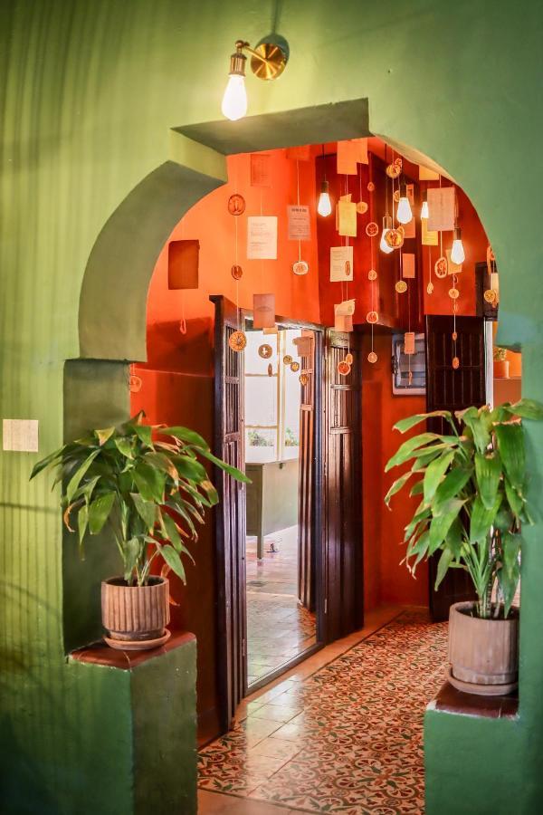 Bed and Breakfast Kuka Y Letras à Mérida Extérieur photo